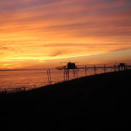 Gasthof D'hotes La Sauvageonne Saint-Palais (Gironde)